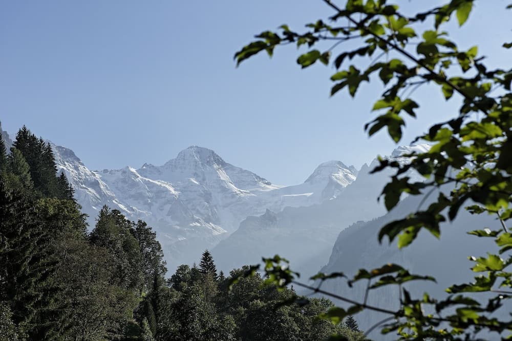 Mountain view