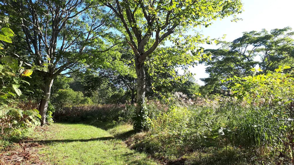 Land view from property