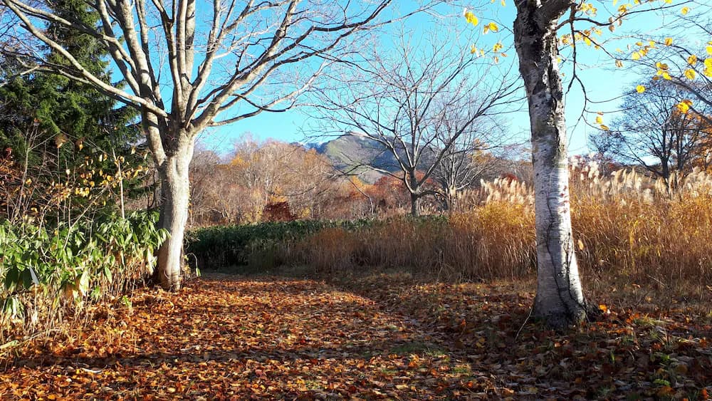 Land view from property