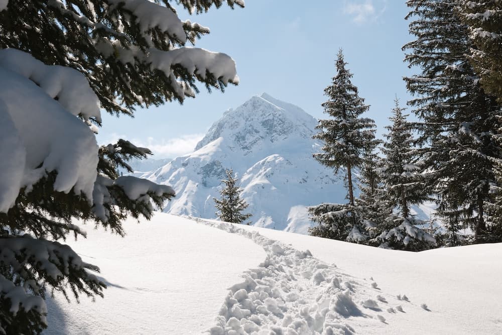 Snowshoeing