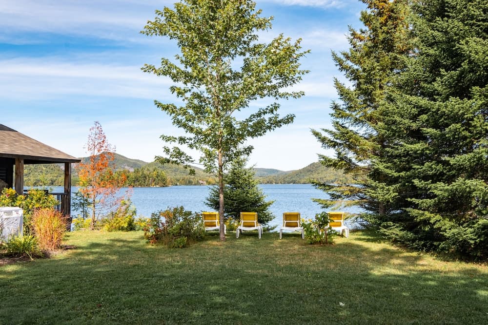 Lake view