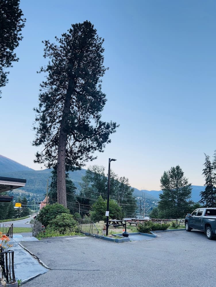 View from property