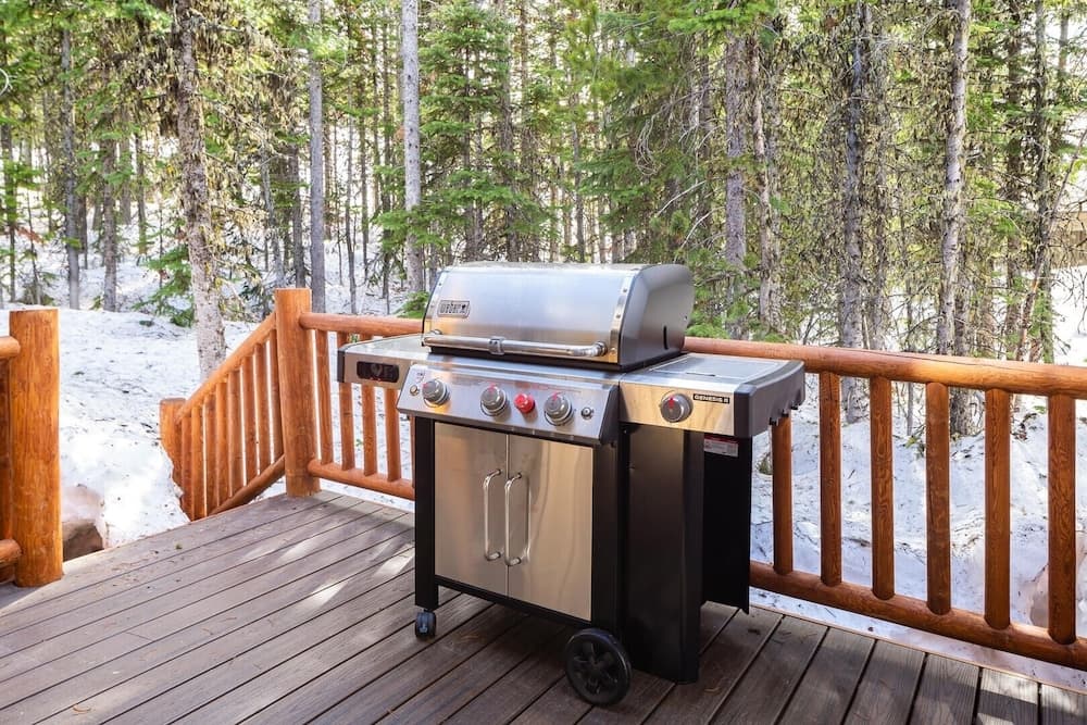BBQ/picnic area
