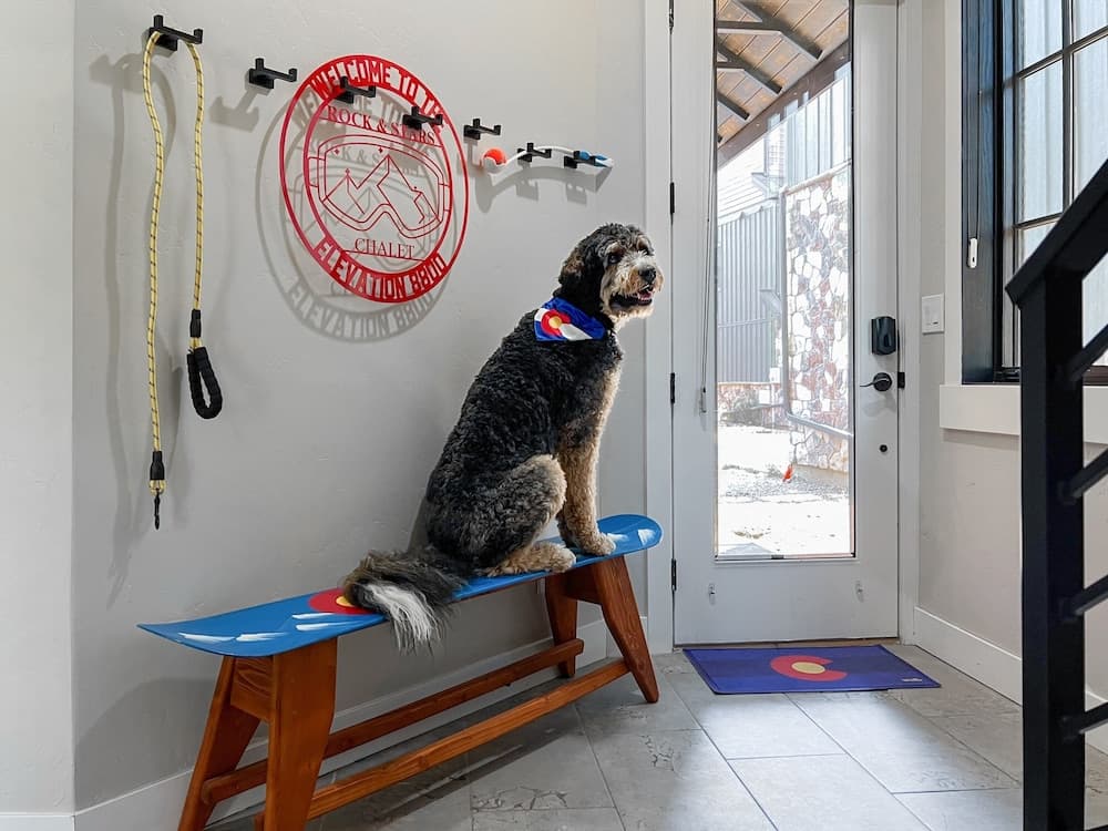 Pet-friendly