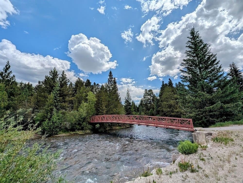 Primary image