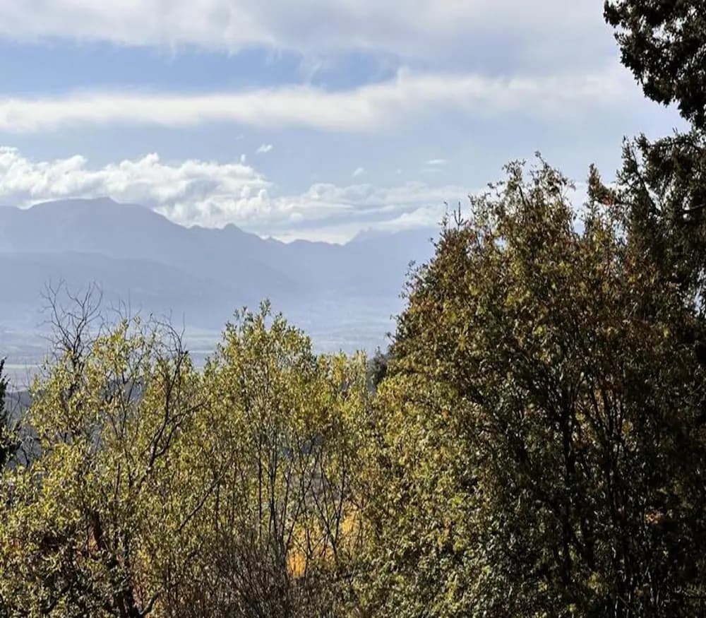 View from property