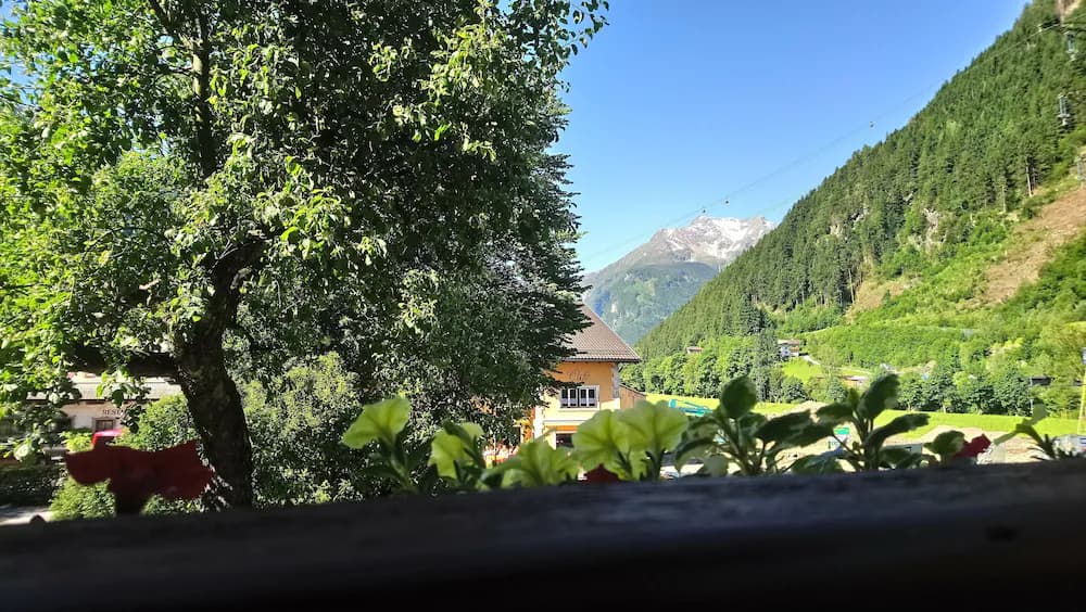 View from room