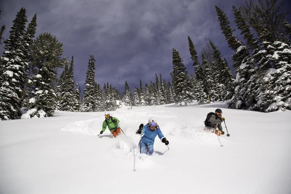 Skiing