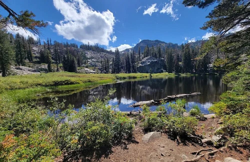 Hiking