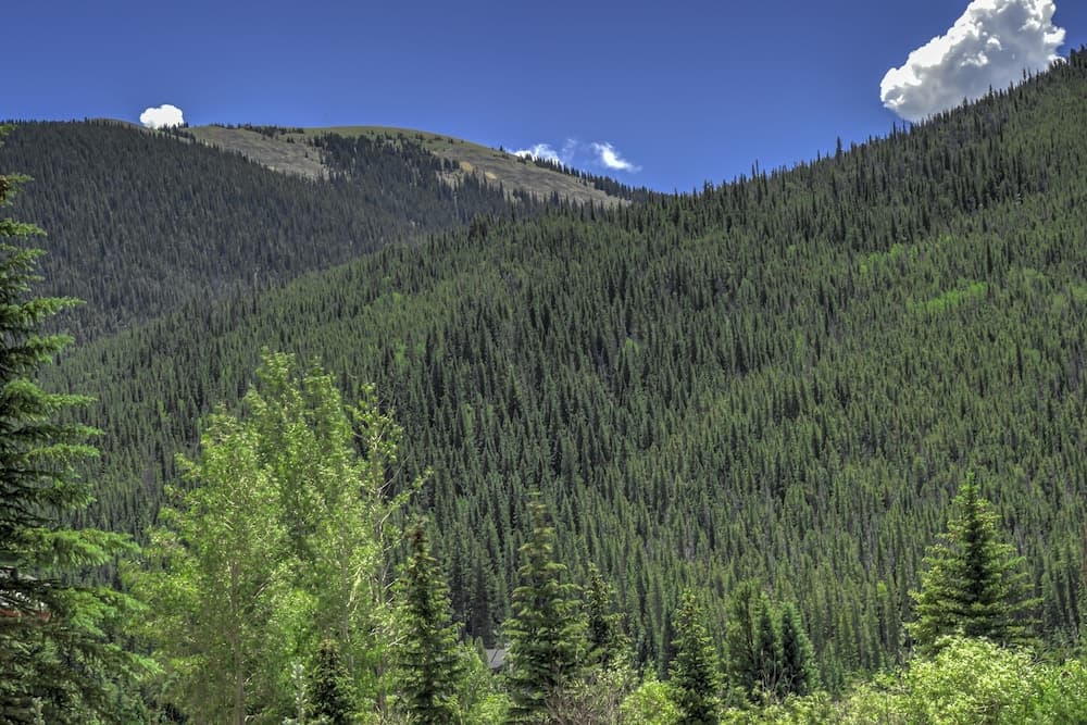 Mountain view
