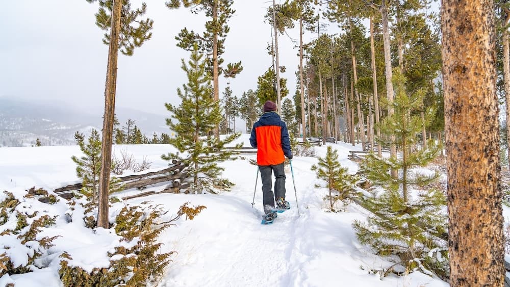 Snow and ski sports