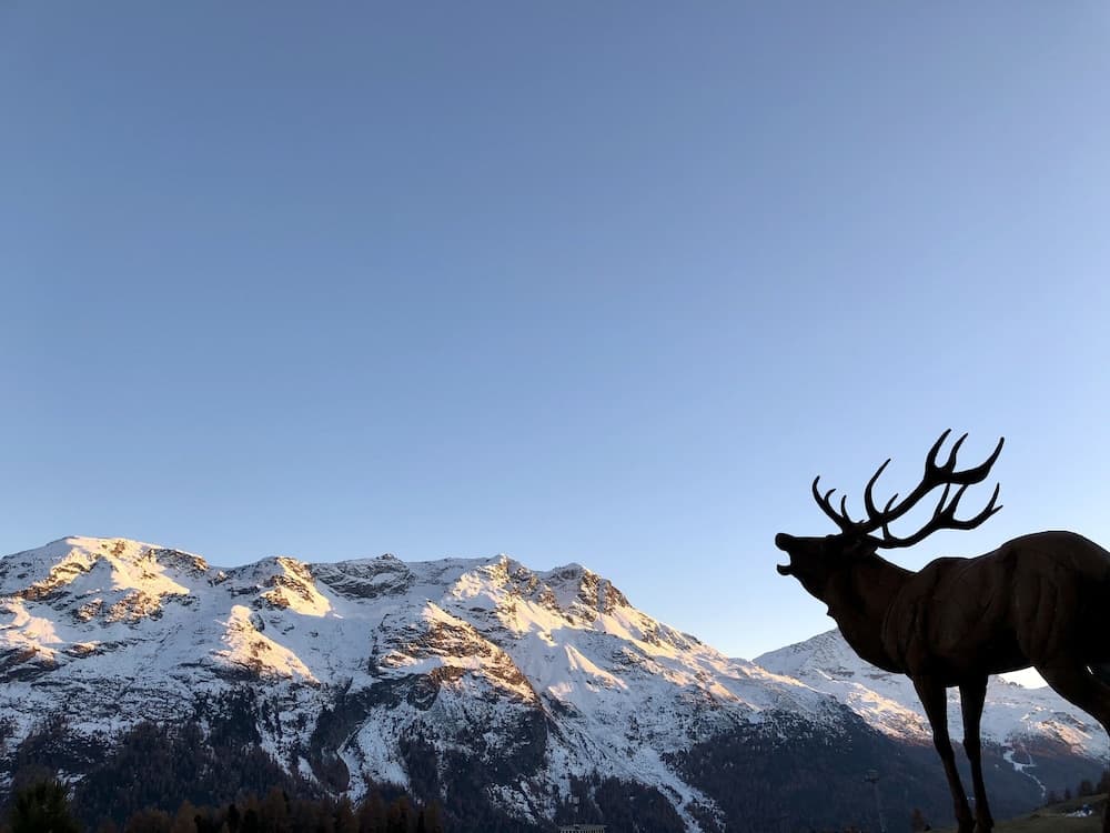 Mountain view