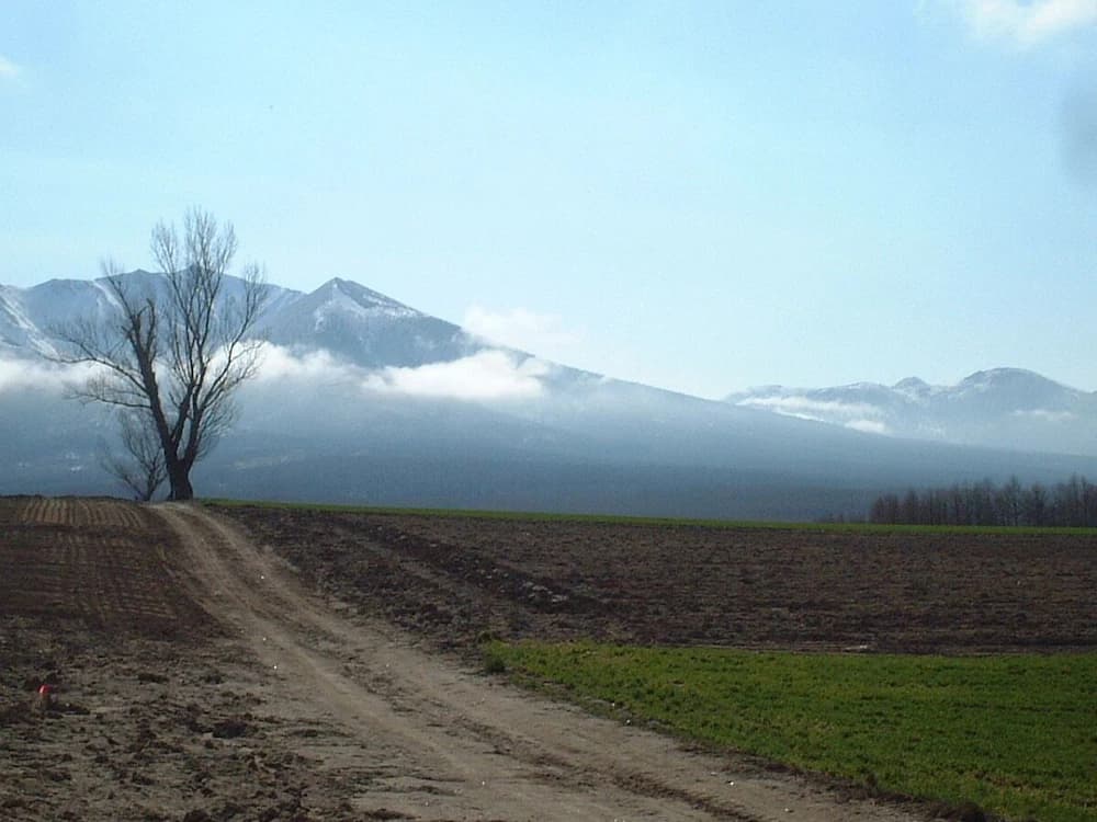 Land view from property