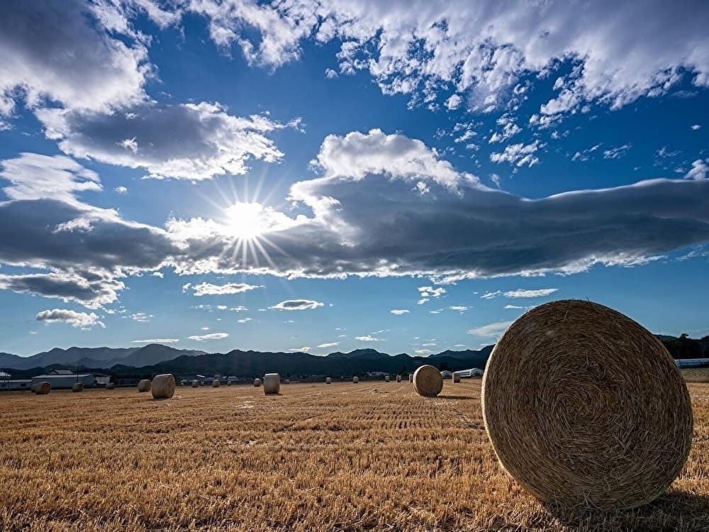 Land view from property