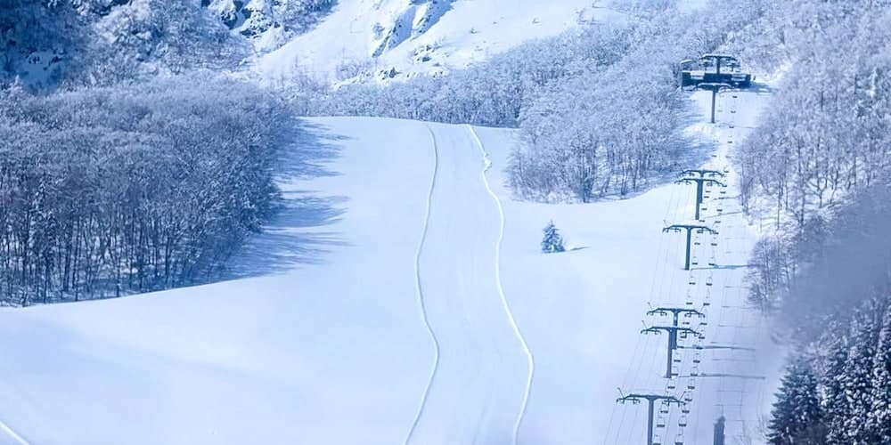Skiing
