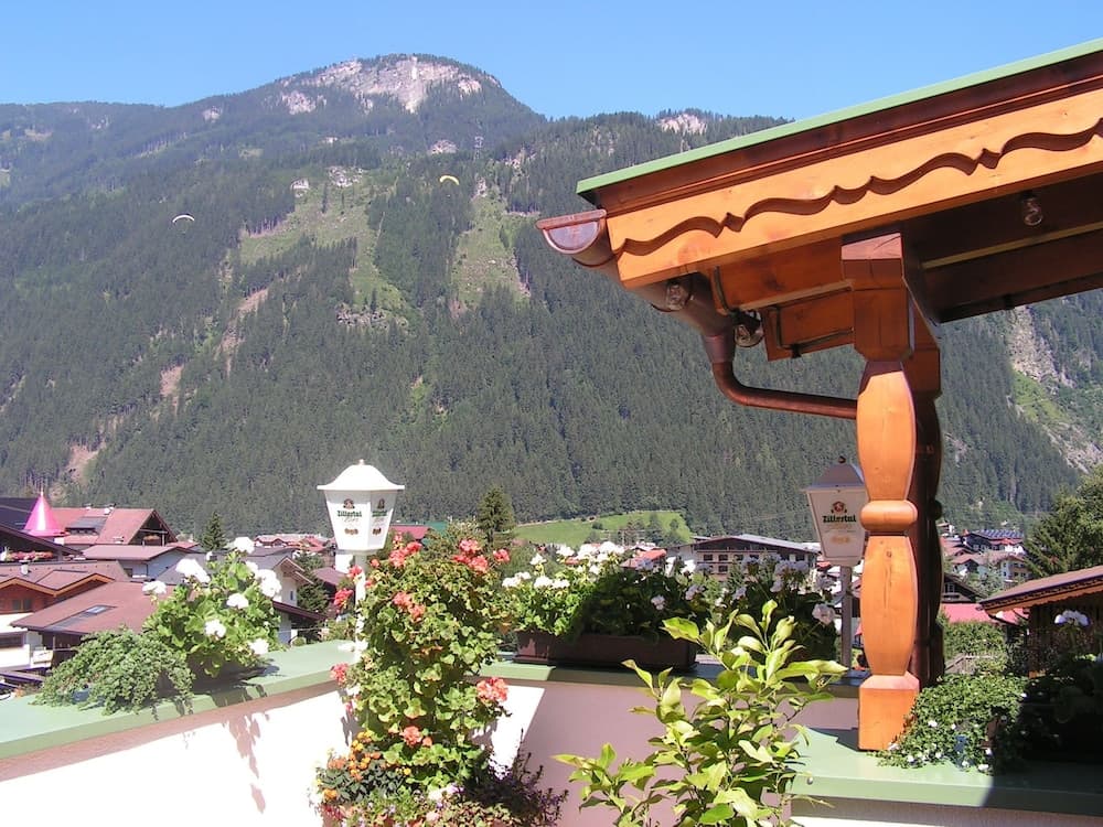 Mountain view