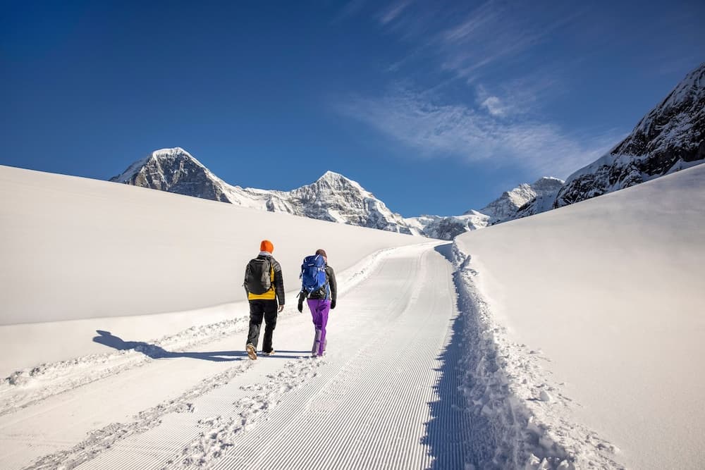 Snowshoeing