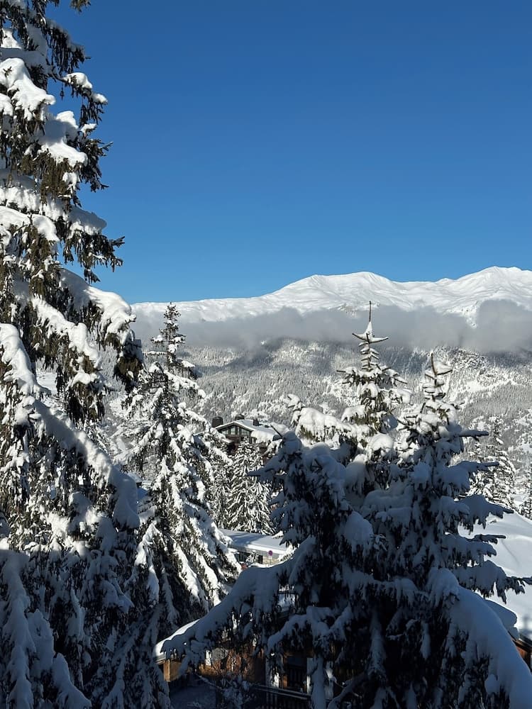 View from property