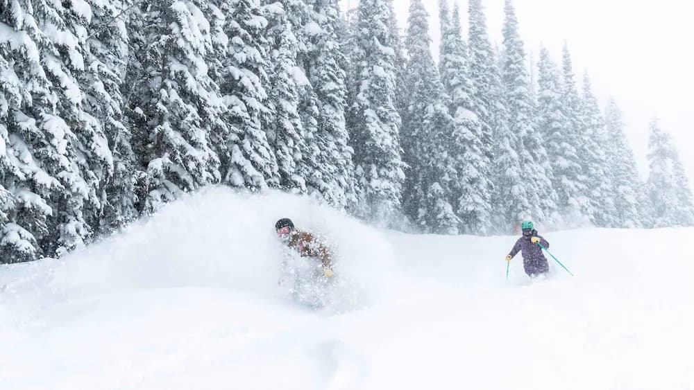 Skiing