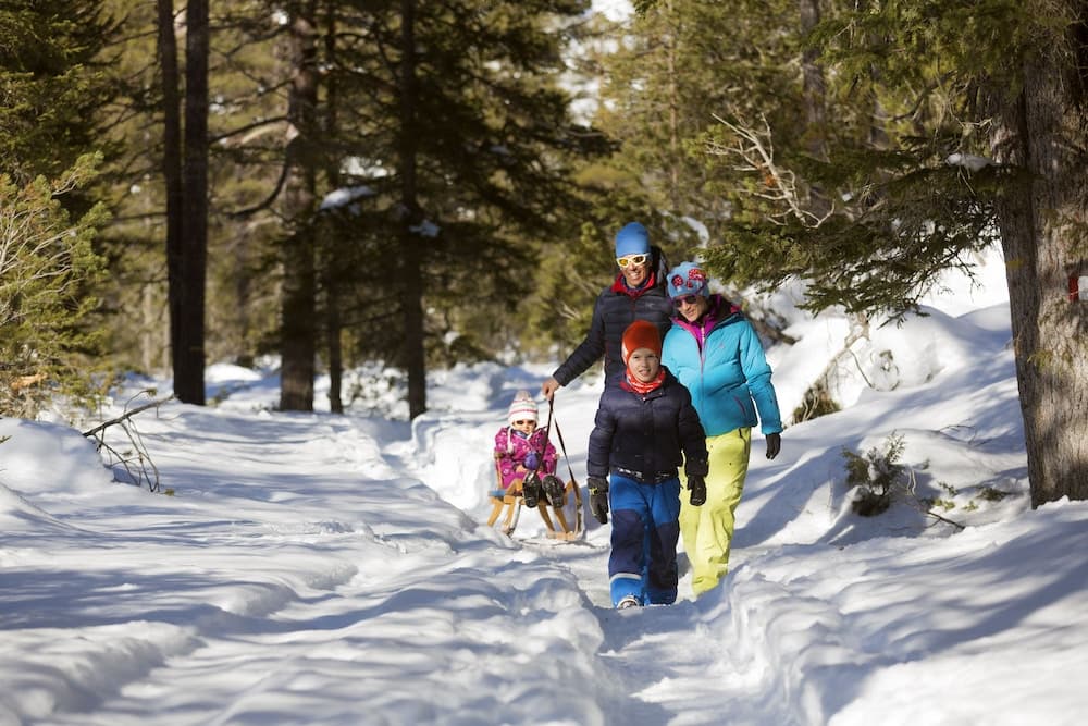 Snow and ski sports
