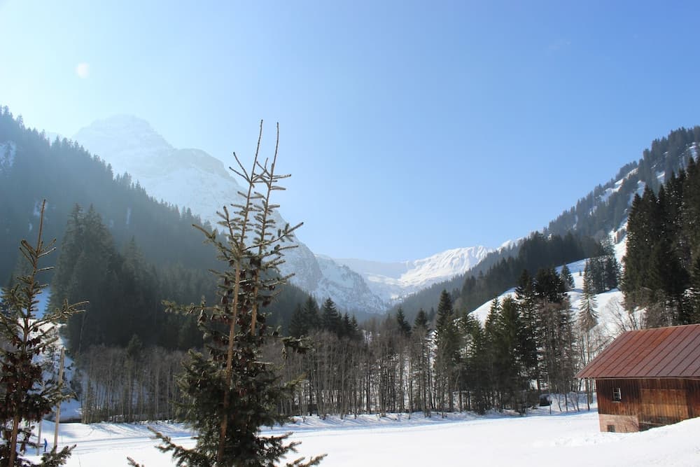 View from property