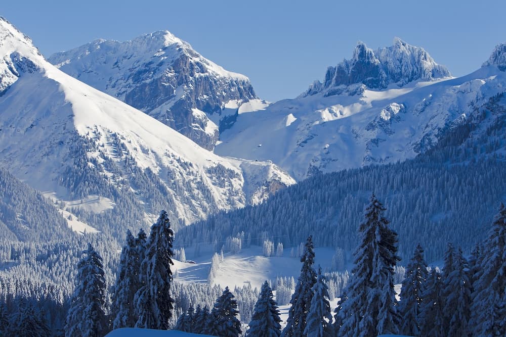 Skiing