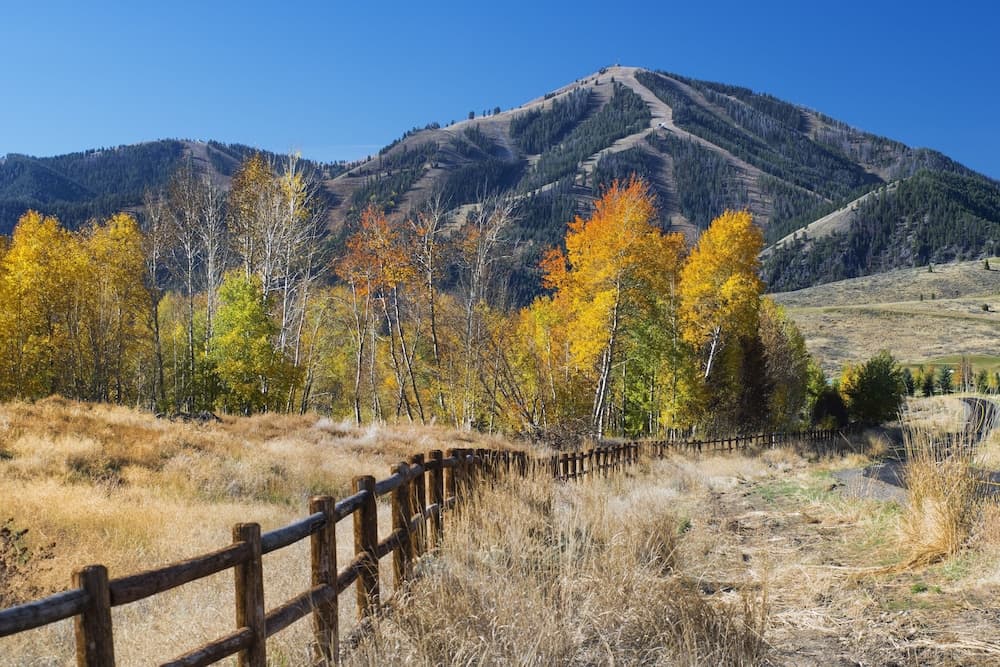 Land view from property