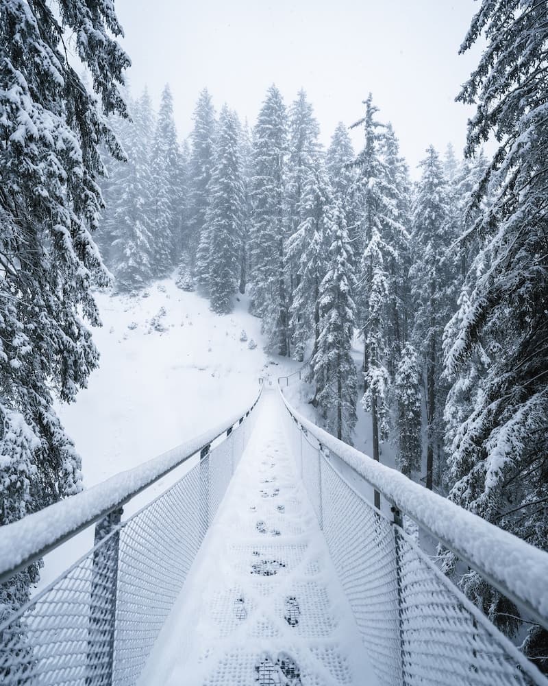 Snowshoeing