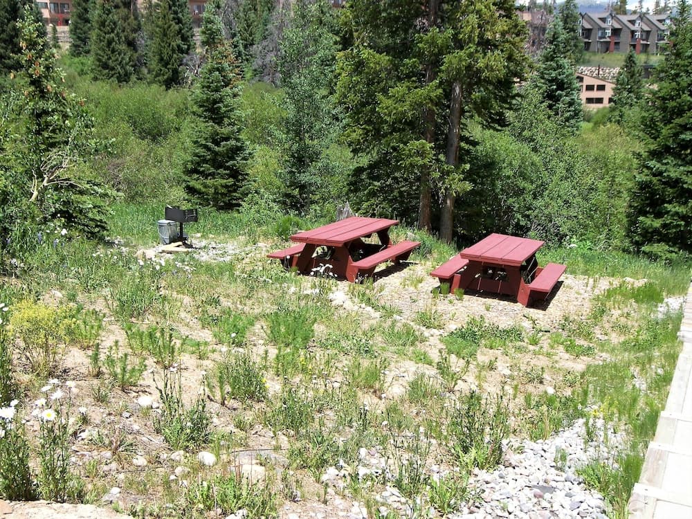 BBQ/picnic area