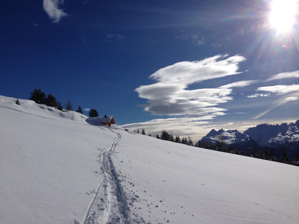 Snowshoeing