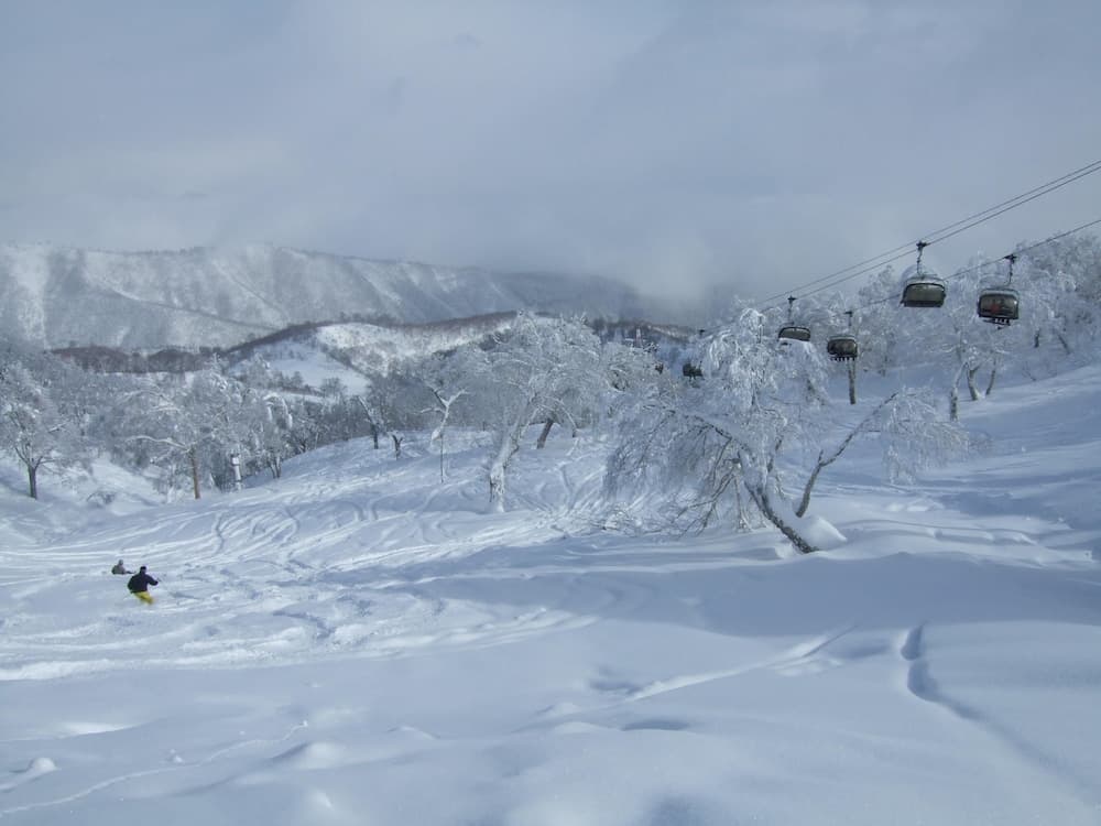 Snow and ski sports