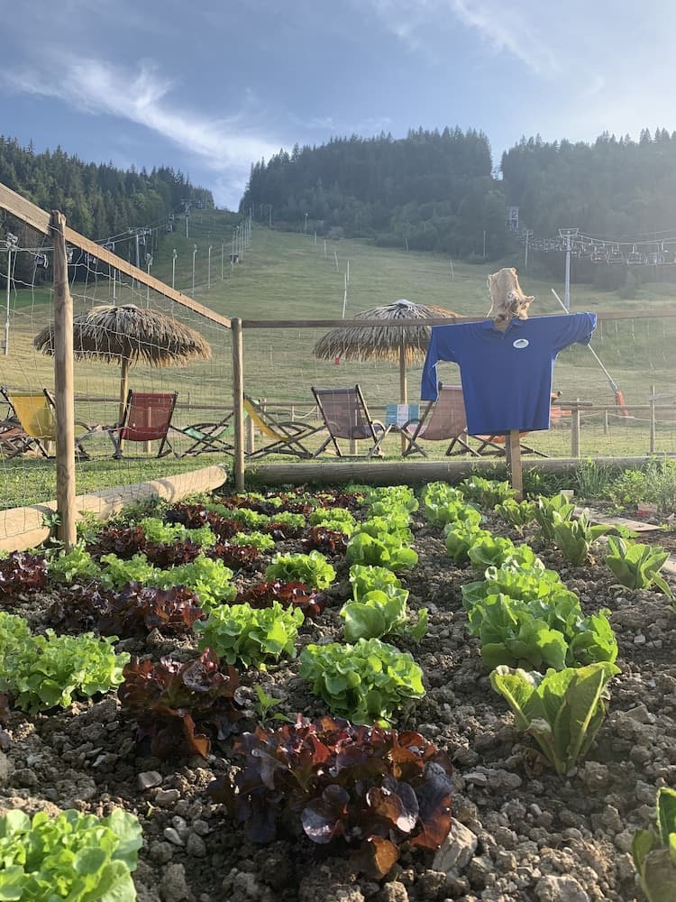 Children's play area - outdoor
