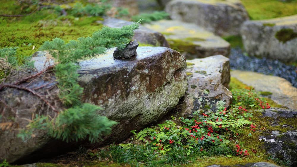 Japanese garden
