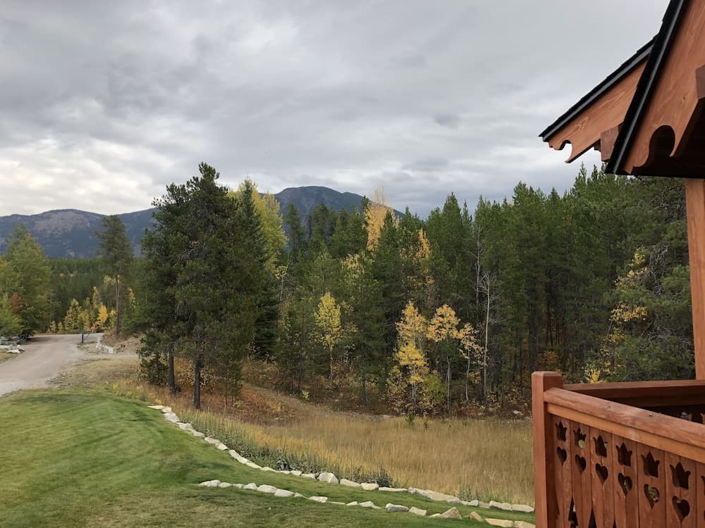View from room