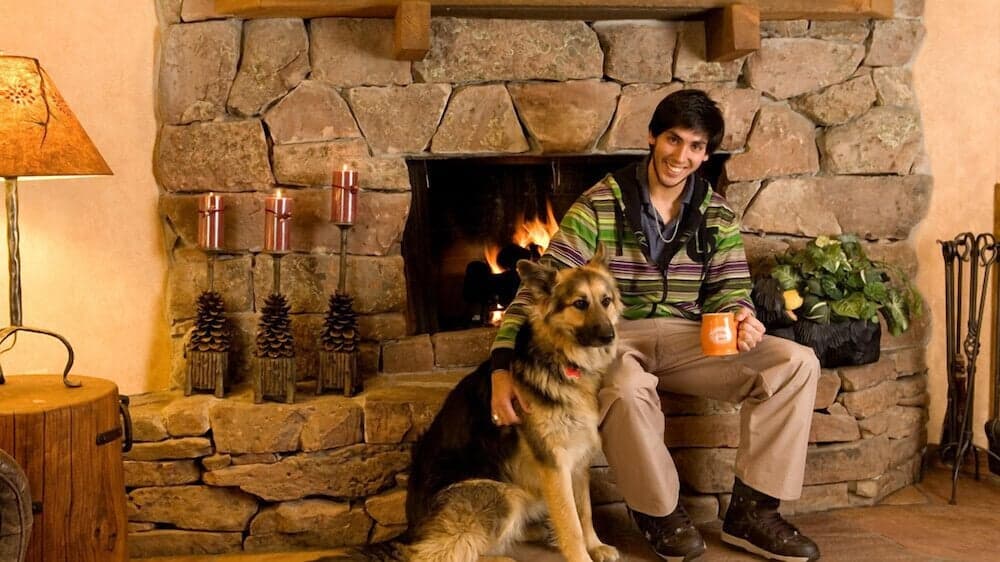 Pet-friendly