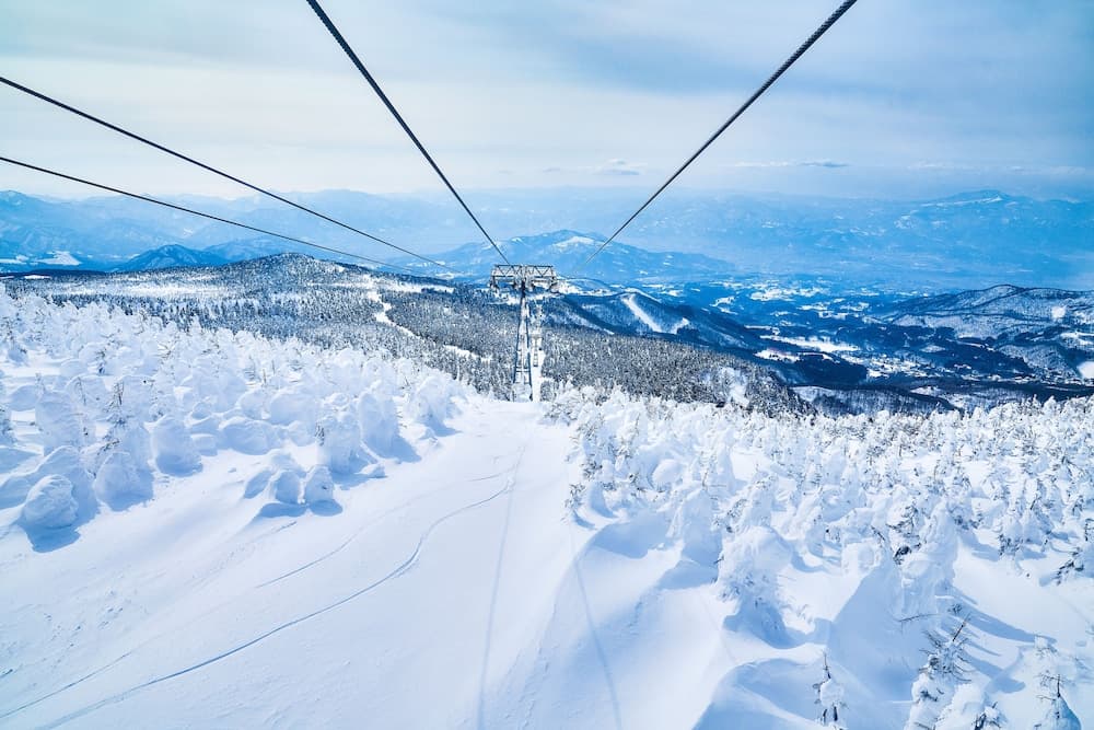 Snow and ski sports