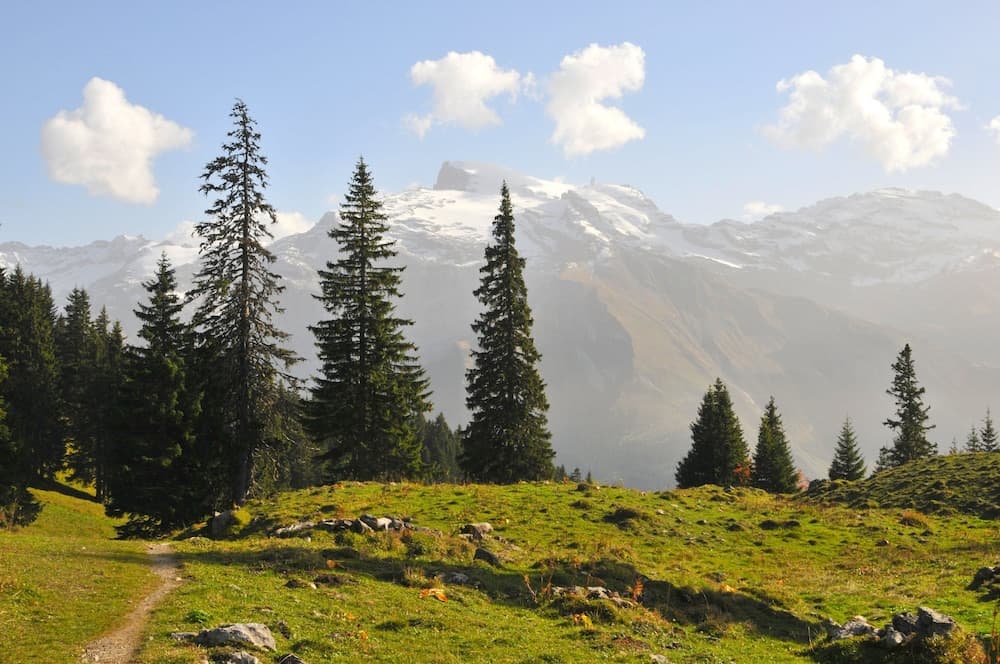 Mountain view