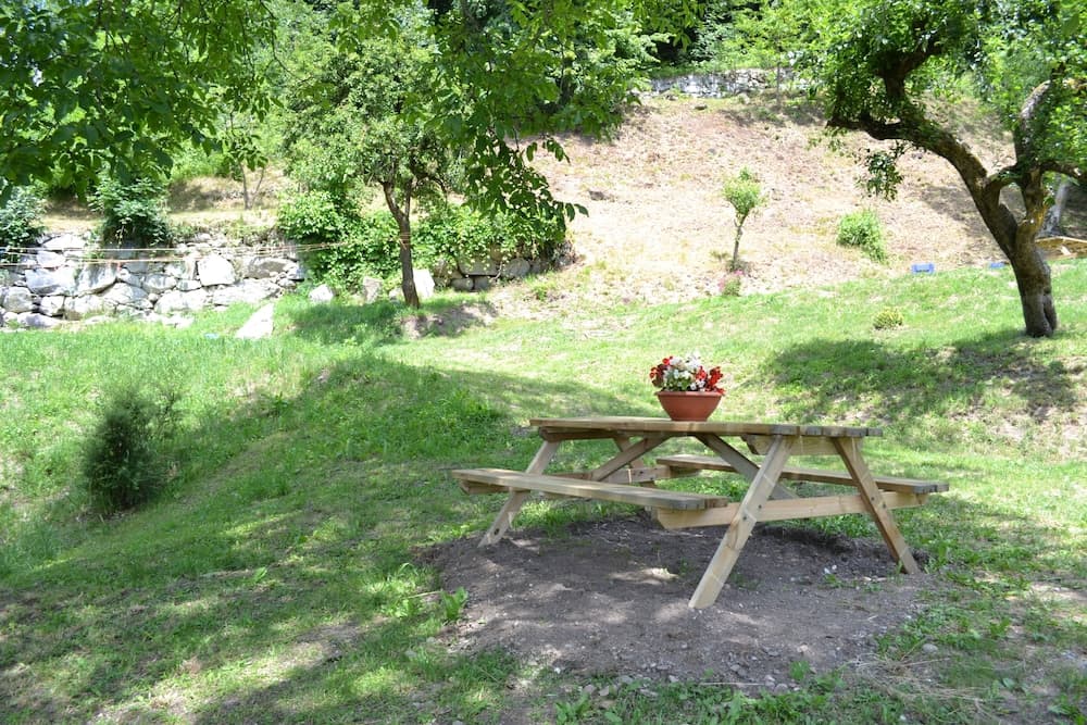 BBQ/picnic area