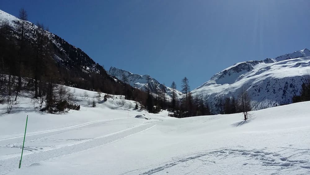 Snowshoeing