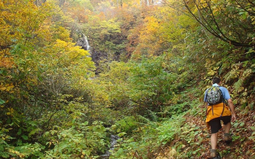 Hiking