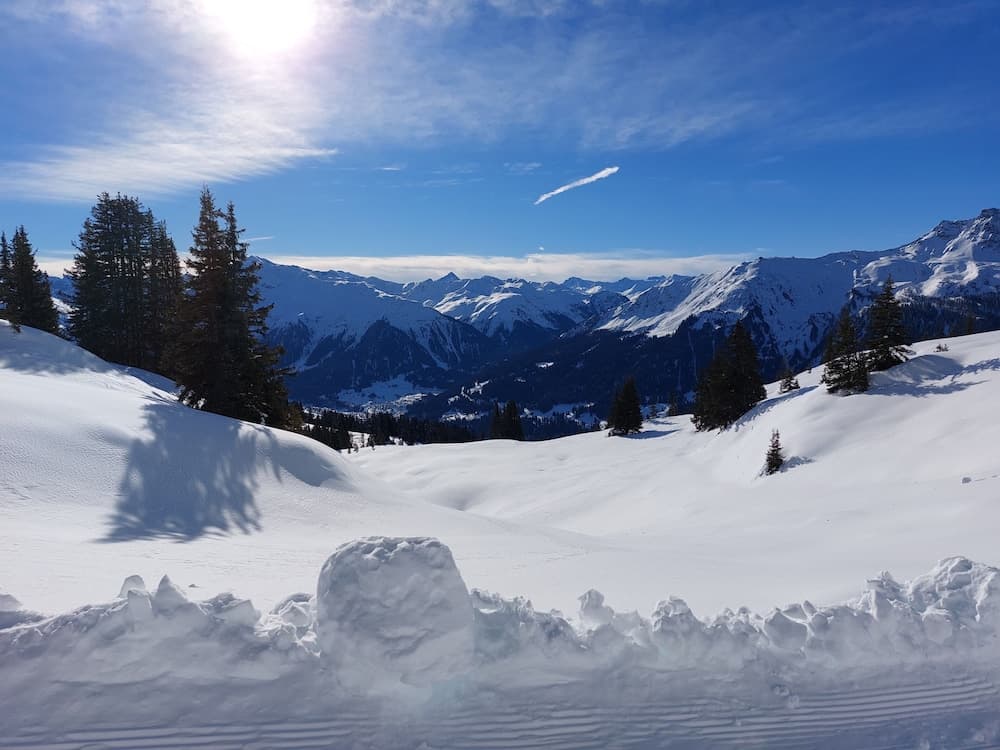 Skiing