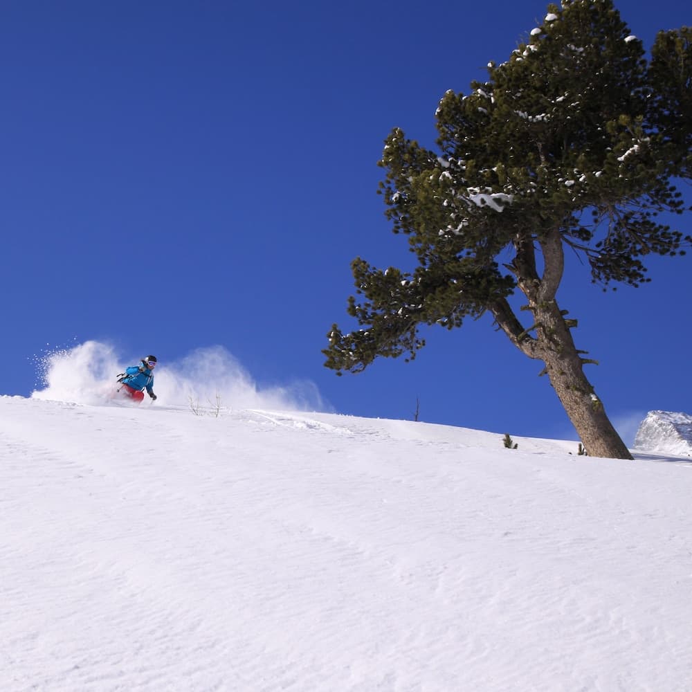 Snow and ski sports