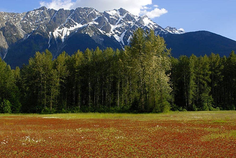 Mountain view