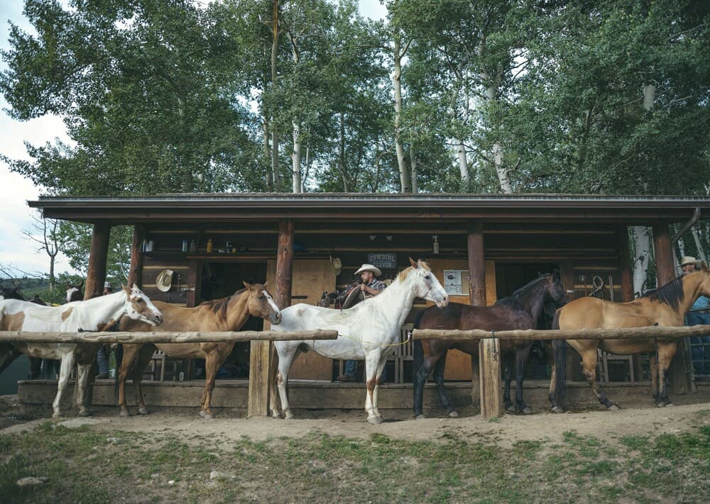 Horseback riding
