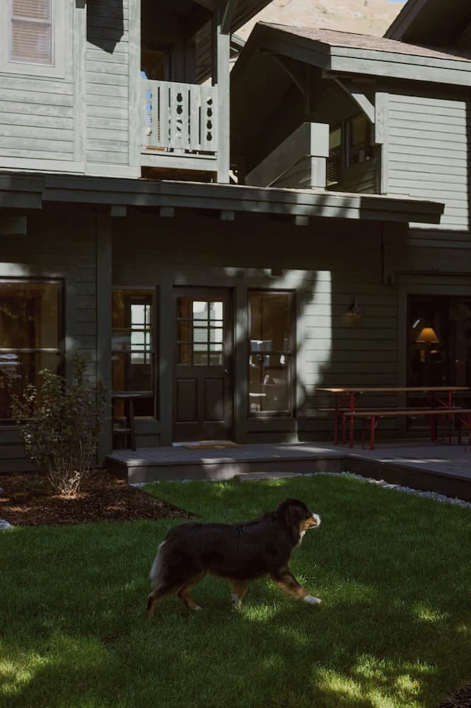 Pet-friendly