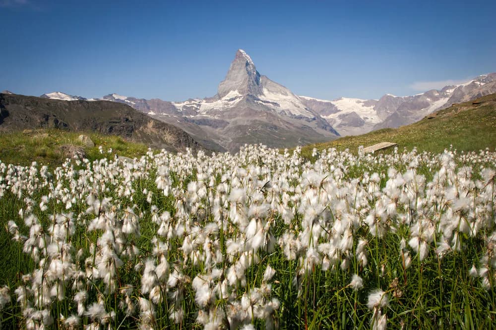 Mountain view
