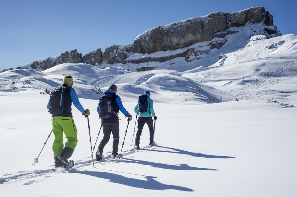 Snowshoeing