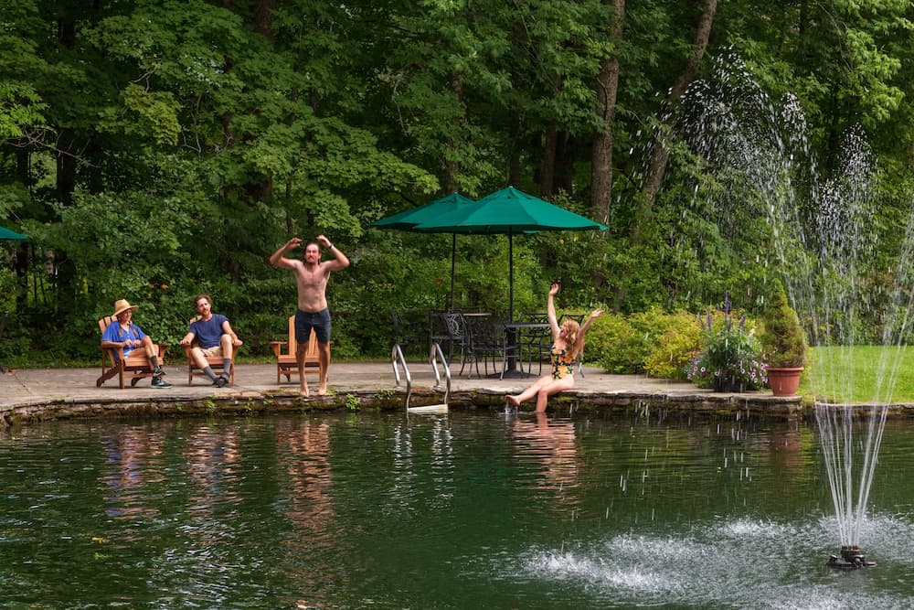 Natural pool