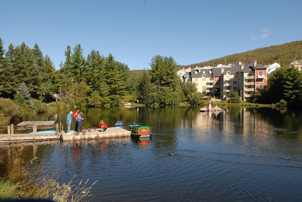 Lake view