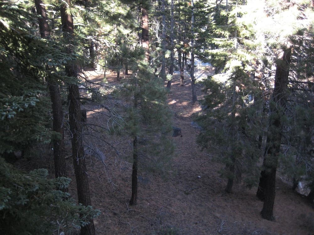 View from room